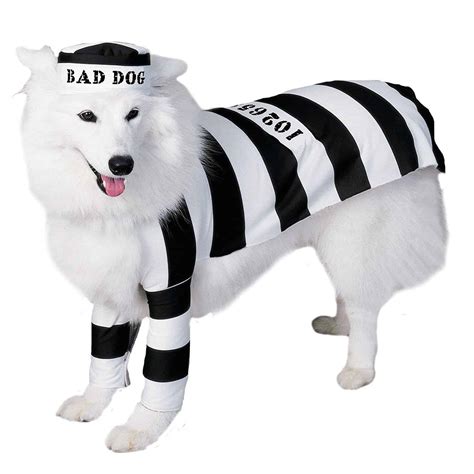 Small And Large Dog Costumes For Every Occasion - NoveltyStreet