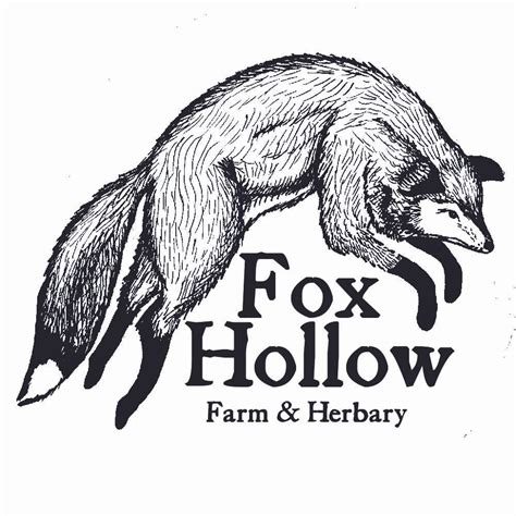 Fox Hollow Farm & Herbary | Substack