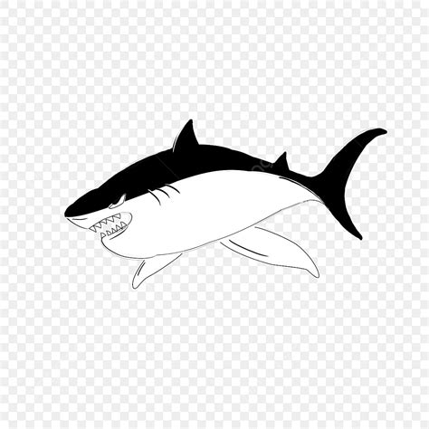 Cartoon Shark Silhouette PNG Free, Shark Silhouette Cartoon, Shark Cartoon, Shark Silhouette ...