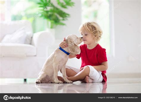 Child playing with dog. Kids play with puppy. Stock Photo by ...