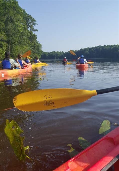 kayaking down the Waccamaw River | Pawleys island, Island, Outdoor