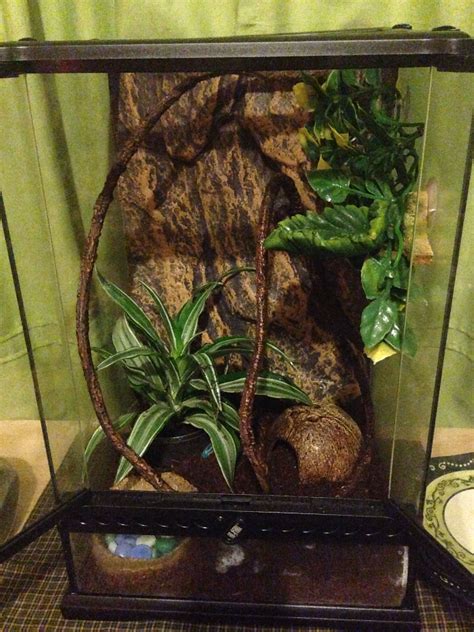 a glass case with plants in it on a table next to a plate and bowl