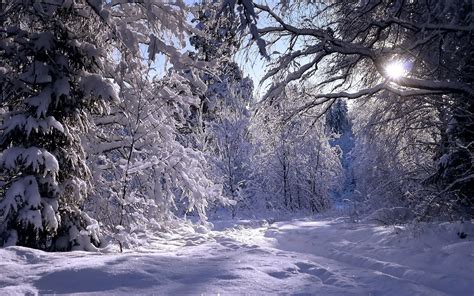 winter screensavers backgrounds (Marlow Mason 3000x1875) | Winter ...