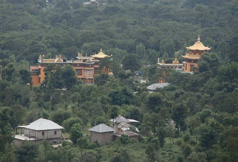 Palampur in the Rains : r/india