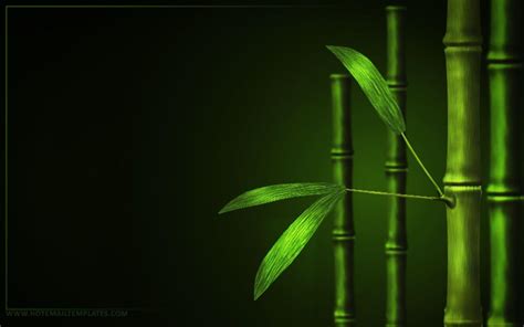 Black Bamboo Wallpapers - Top Free Black Bamboo Backgrounds - WallpaperAccess