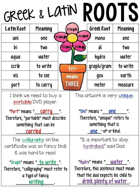 Words With The Root Calc - Letter Words Unleashed - Exploring The Beauty Of Language