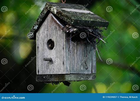 Bird House with Birds Nest Inside on Summer Day Stock Image - Image of ...