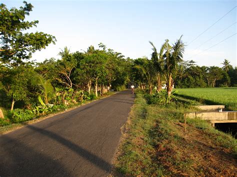 Pemandangan Suasana Pagi Di Kampung / Tampilan Pemandangan Alam Suasana Pagi Di Pedesaan Hive ...