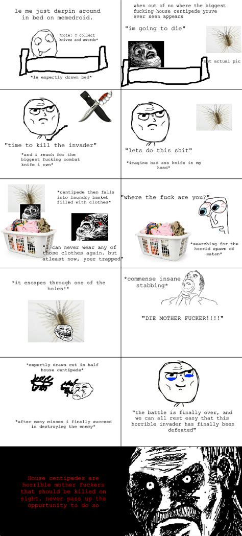 house centipede - Meme by abakus33 :) Memedroid