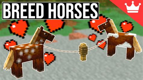 How to Breed Horses in Minecraft (All Versions) - YouTube