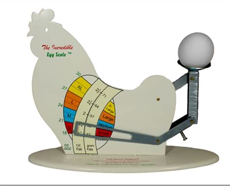 How to Grade Eggs - Egg Grading and Sizing - | EggCartons.Com