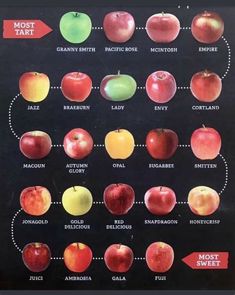 Chart Green Apple Varieties