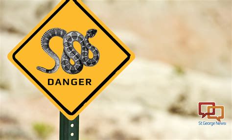 New drug could stall deadly symptoms of rattlesnake bite – Utah Channel 3