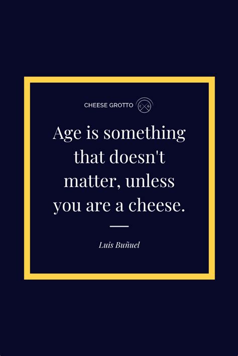 Funny Cheese Quotes | Cheese quotes, Cheese store, Cheese gifts