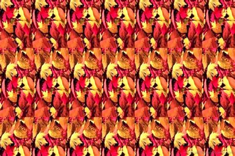 50 Nice Stereogram Illusion