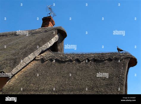 Thatched Roof house East Anglia UK Stock Photo - Alamy