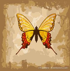 Butterfly Background Vector for Free Download | FreeImages