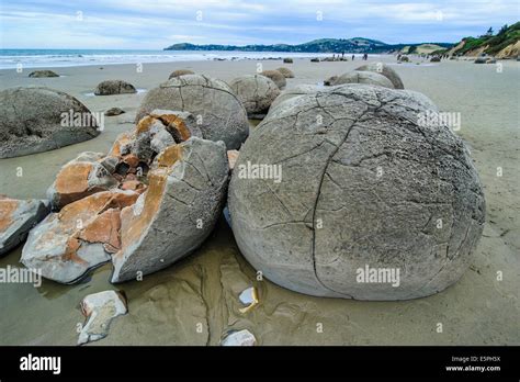 Moeraki Boulders, Koekohe Beach, South Island, New Zealand, Pacific Stock Photo - Alamy