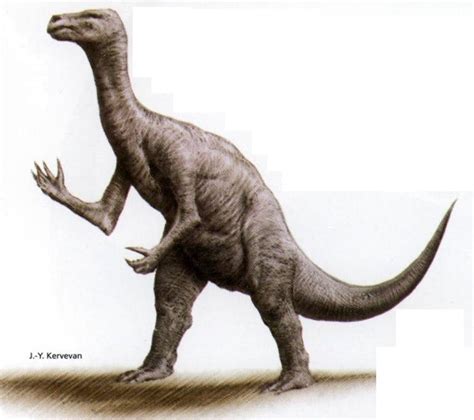 Iguanodon Pictures & Facts - The Dinosaur Database