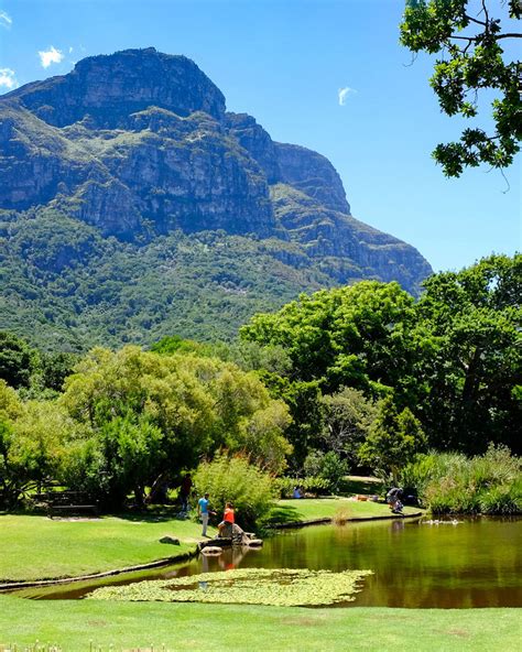 view-at-the-kirstenbosch-national-botanical-gardens-cape-town - Foreground