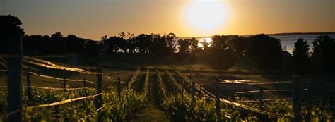 Mari Vineyards - Traverse City Winery - Old Mission Wine Tours - Wine Club | Traverse city ...