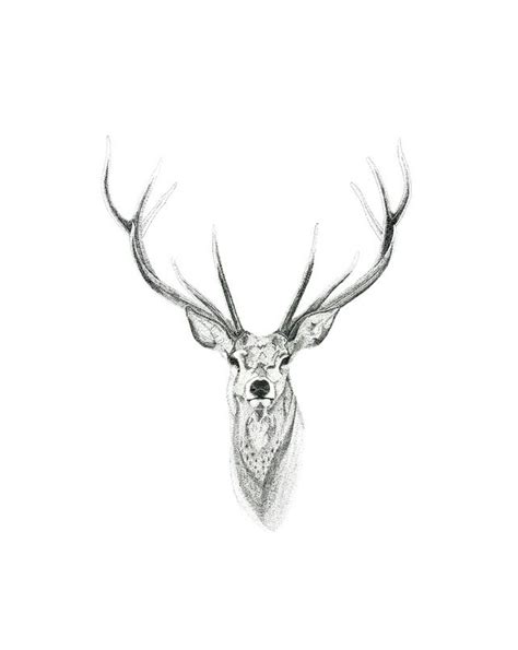 Deer buck head temporary tattoo sticker set of 2 – Artofit