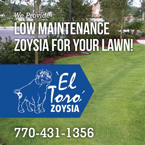 In addition to easy maintenance, El Toro's dark green color and great ...