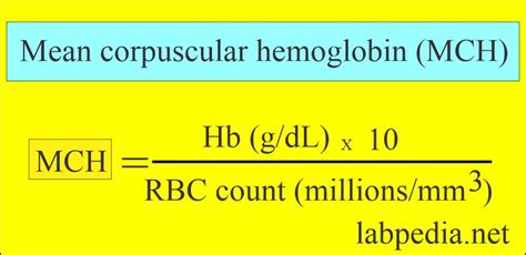 Hematology - Labpedia.net