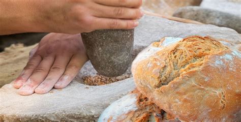 8,000-yr-old Dishes Reveal the Types of Food Neolithic Humans Ate - The ...