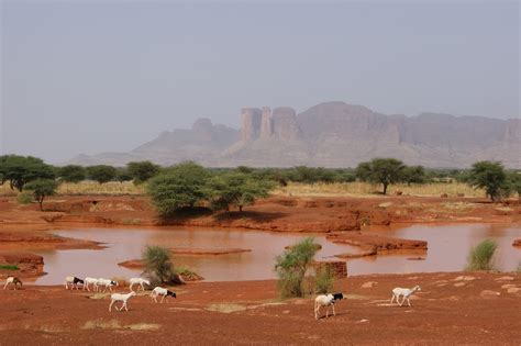 Pollution in Northern Hemisphere helped cause 1980s African drought | UW News