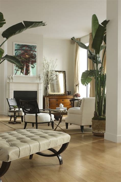 Home Decor's New "It" Plant (And I'm Not Talking Fiddle Leaf Figs) — Blue Door Living in 2020 ...