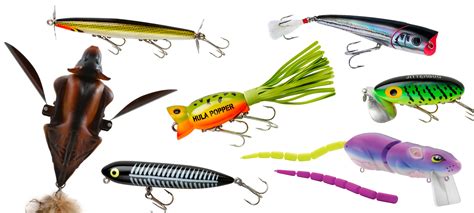 10 Best Topwater Lures For Bass | Outdoor Life