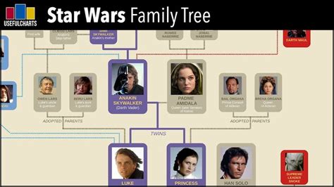 Star Wars Family Tree | Star wars family tree, Family tree, Star wars