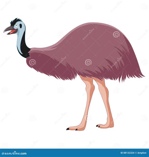 Cartoon smiling Emu stock vector. Illustration of dromaius - 88132324