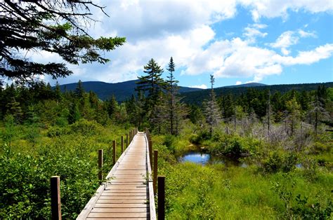 White Mountain National Forest, New Hampshire [OC][2048x1361] : r ...