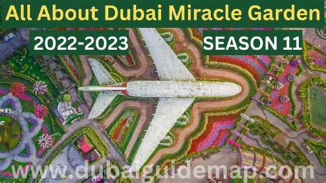 A Complete Guide To Dubai Miracle Garden Season 11, 2022-2023 (2023)