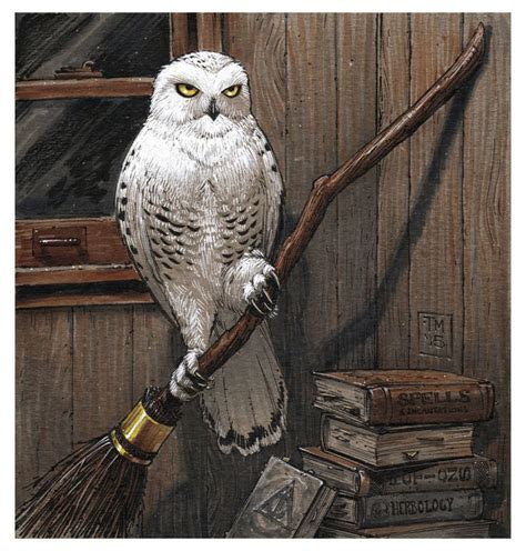 Hedwig Print — COLONEL TONY MOORE | Harry potter sketch, Harry potter artwork, Hedwig