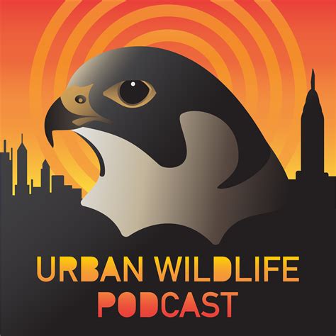 Urban Wildlife Podcast