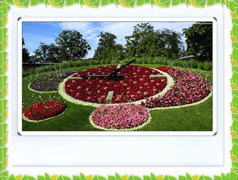 Travel & Tourism: Geneva Flower Clock ⇒ Switzerland ღ