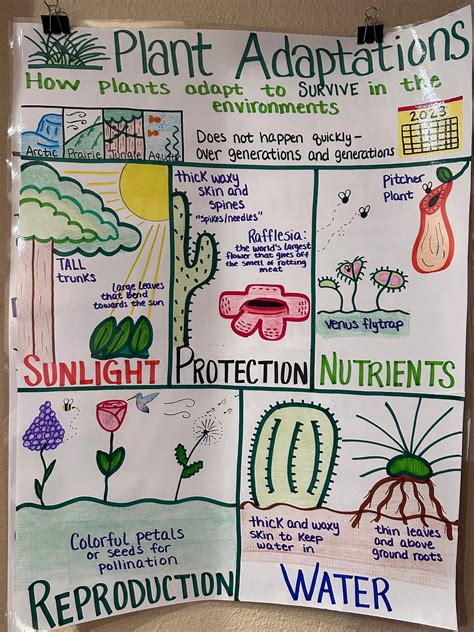 Plant Adaptations Anchor Chart for 5th-8th Grade - Etsy