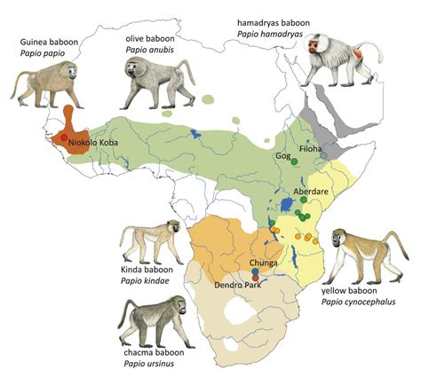 LSU Researchers Show Mobile Elements Monkeying Around the Genome