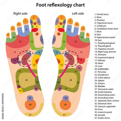 Foot Diagram Pressure Points