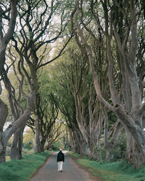 Planning Your North Coast Of Ireland Road Trip: Unforgettable Experiences