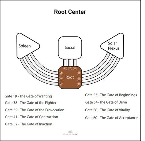 Human Design Root Center | Human design system, Human design, Design