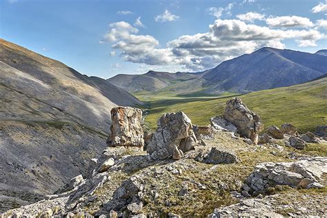 Wilderness Alaska: Images