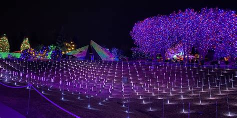 Blossoms of Light at Denver Botanic Gardens - Double Snuggle