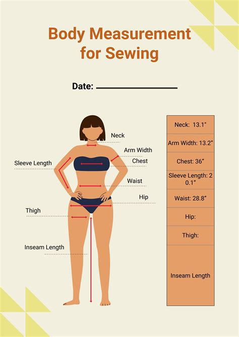 Simple Body Measurement Chart in Illustrator, PDF - Download | Template.net