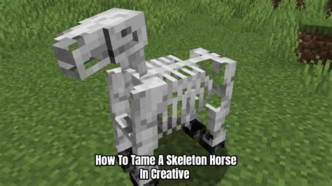 How To Tame A Skeleton Horse In Minecraft Creative