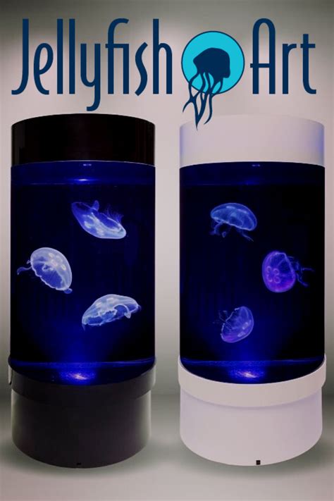 PET JELLYFISH TANK- AND EVERYTHING YOU NEED TO ENJOY THEM IN YOUR HOME | Jellyfish art, Pet ...