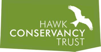 Breeding and Incubating Birds of Prey - Hawk Conservancy Trust - Hawk ...